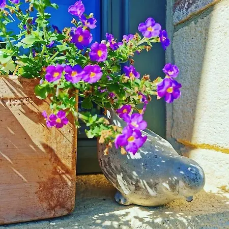 Maison De Jeanne *